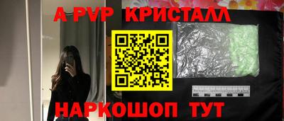 скорость Будённовск