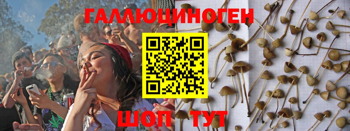 Первоуральск  Галлюциногенные грибы MAGIC MUSHROOMS  Вход с VPN 